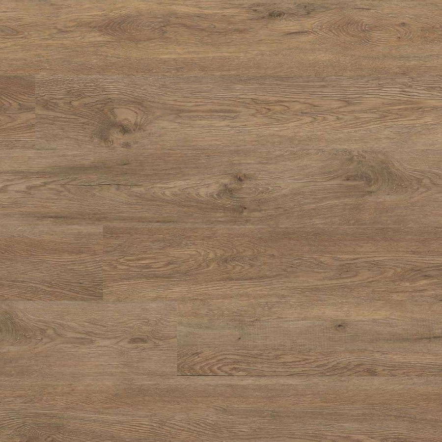 Vinyl Flooring * | Woodlett Century Oak 6 In. W X 48 In. Glue-Down Luxury Vinyl Plank Flooring (72 Cases/2592 Sq. Ft./Pallet) By A&A Surfaces