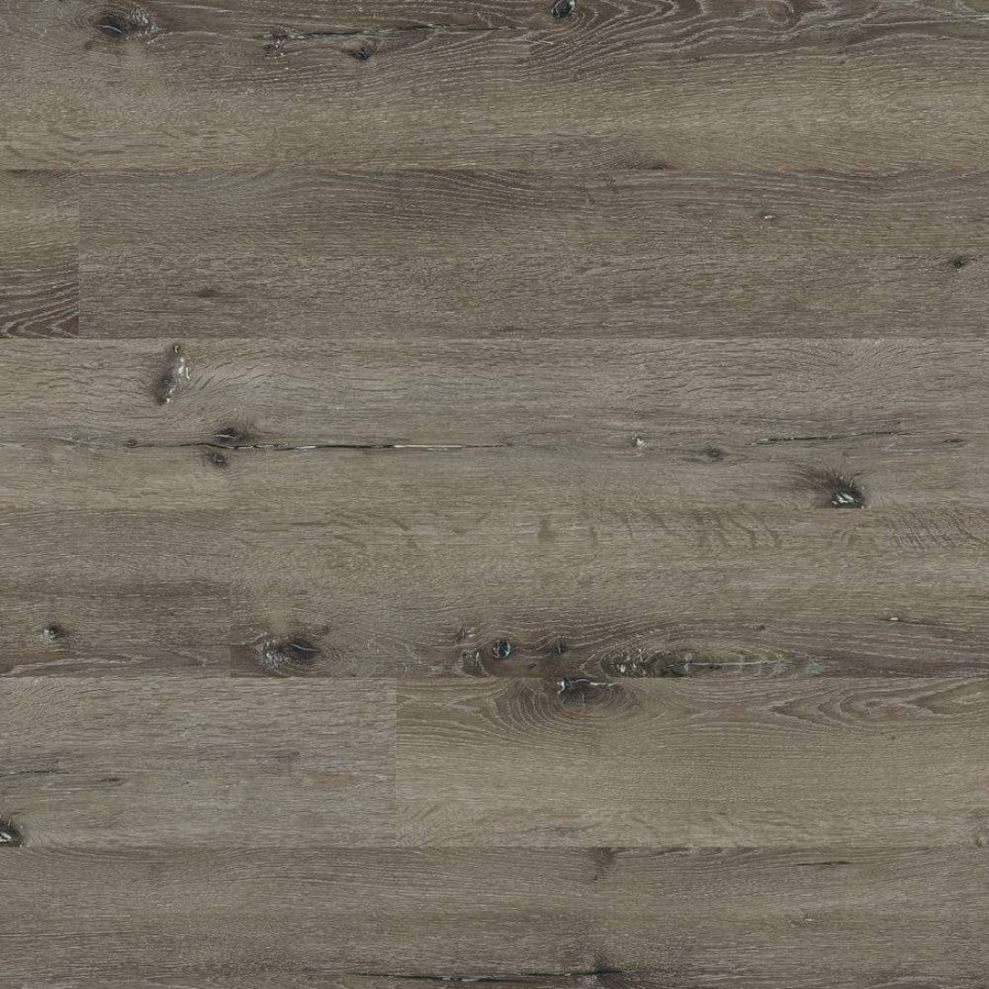 Vinyl Flooring * | Woodlett Empire Oak 6 In. X 48 In. Glue Down Luxury Vinyl Plank Flooring (36 Sq. Ft. / Case) By A&A Surfaces